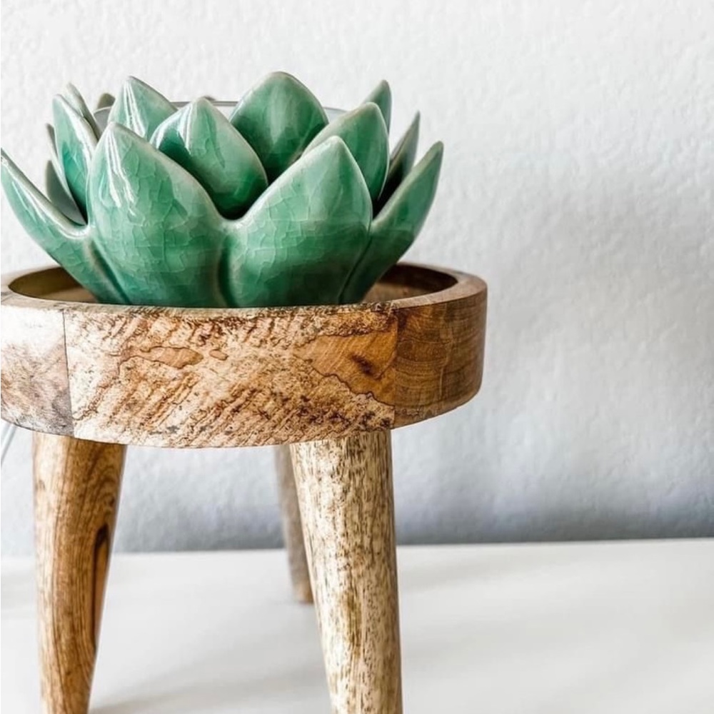 Scentsy Desert Bloom Warmer